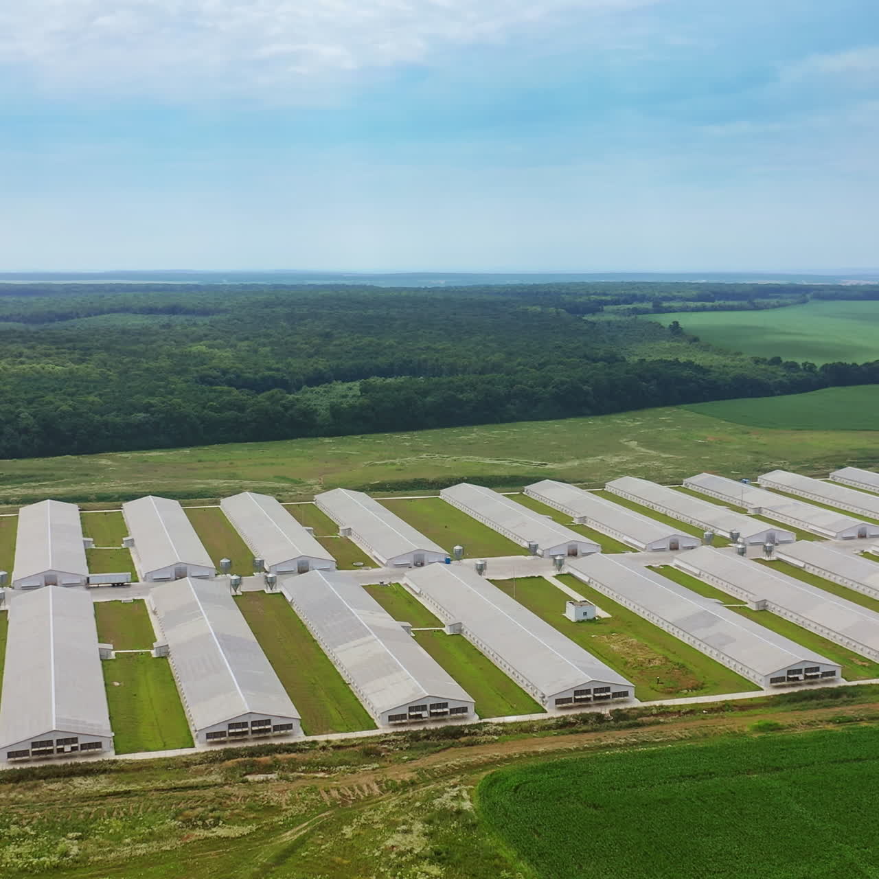 Rows of white buildings for farming outdoors. Contemporary farmland in the rural place. Exterior of long farm barns for livestock. Camera moves right.