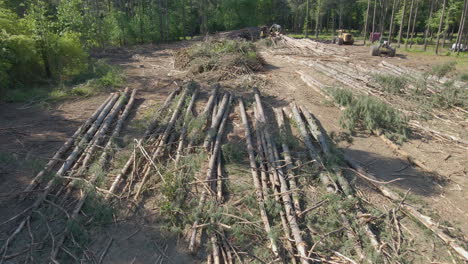 aerial shot flying over of trees stacked up by lumberjacks