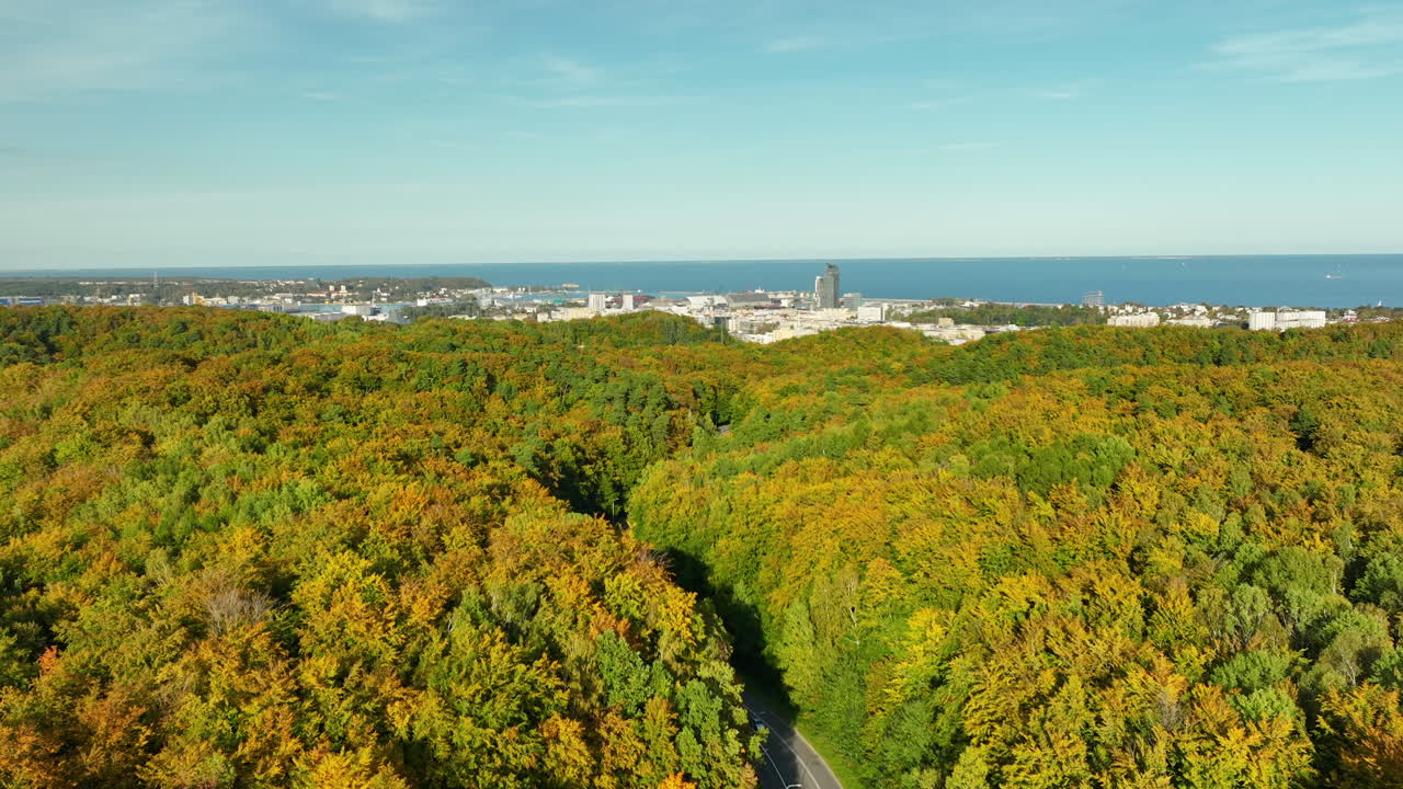 Aerial view of Gdynia cityscape with vibrant autumn forest in the foreground and ocean horizon under a clear blue sky.