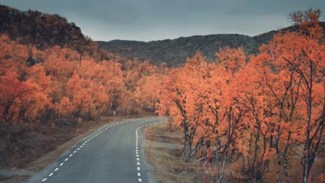 Conduzca-Por-La-Estrecha-Carretera-De-Dos-Carriles-A-Través-Del-Colorido-Paisaje-Del-Norte