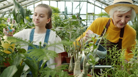 granddaughter and grandmother watering plants in a greenhouse