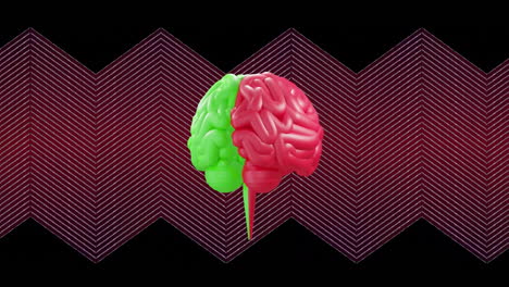 Animación-Del-Cerebro-Humano-Girando-Sobre-Fondo-En-Zigzag.