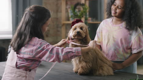 Girls Putting Headband on Cute Dog