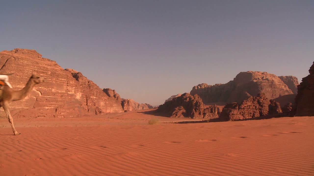 Una carovana di cammelli passa proprio sopra la telecamera nel deserto saudita di Wadi Rum, Giordania 1