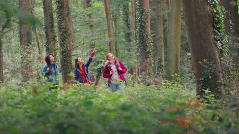 group of young female friends on camping holiday hiking through woods and enjoying nature together