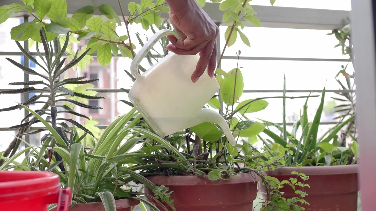 Persona che annaffia piante in vaso su un balcone