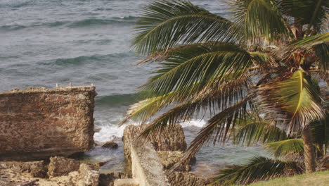 Olas-Oceánicas-En-La-Costa-Rocosa-De-San-Juan,-Puerto-Rico---Establecimiento-De-Zoom-Out