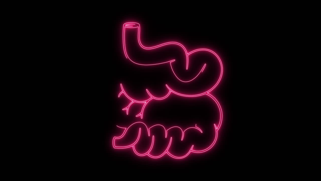 Animated Neon Pink Outline of Human Small Intestine