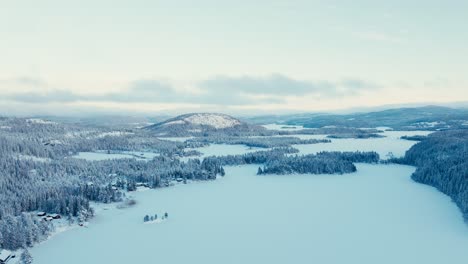 Luftwinterlandschaft-Mit-Gefrorenen-Seewaldbergen-In-Der-Nähe-Von-Dörfern-In-Norwegen