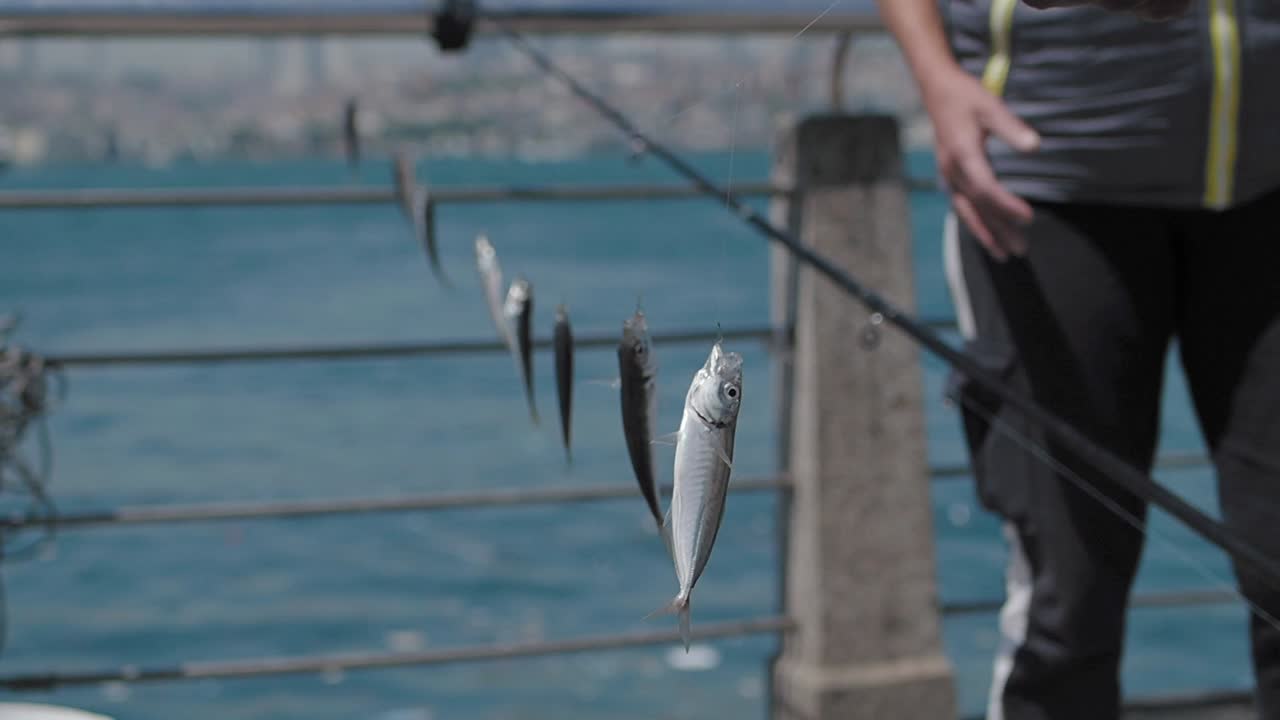 pescando desde un muelle sobre el océano