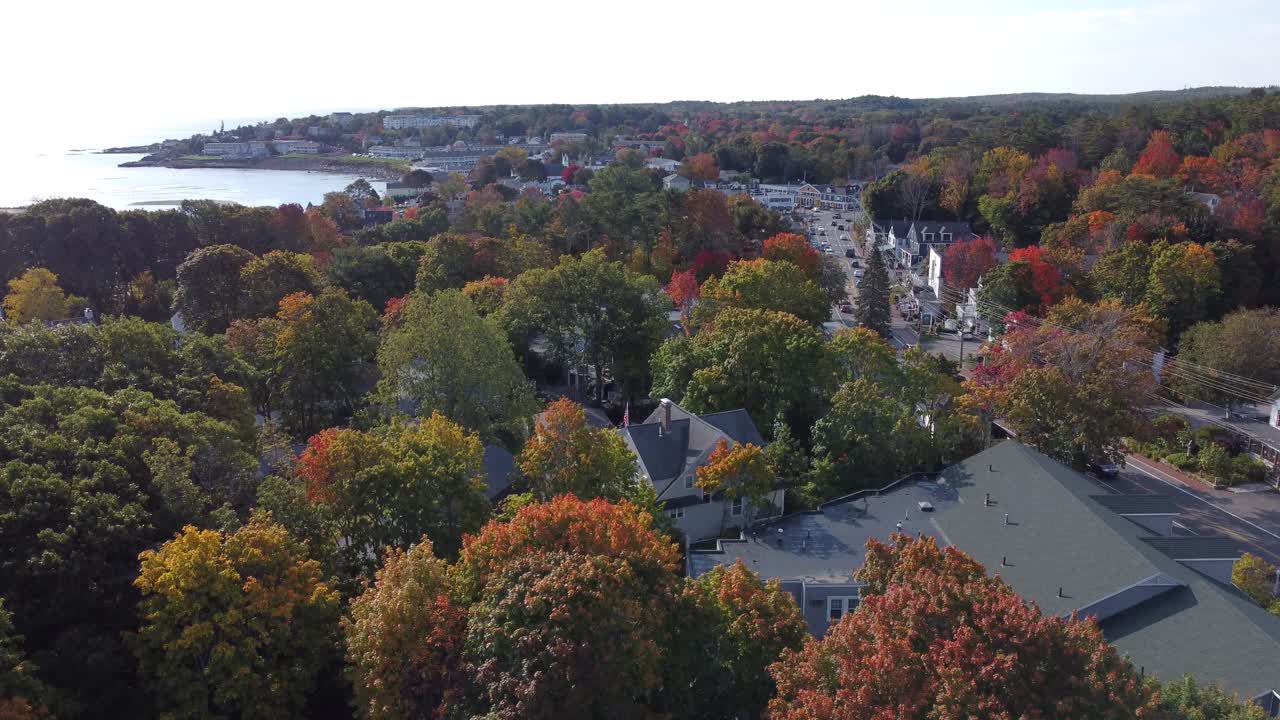 나무 위를 날아다니는 드론: 오그누, 메인, 미국 대서양 해안선