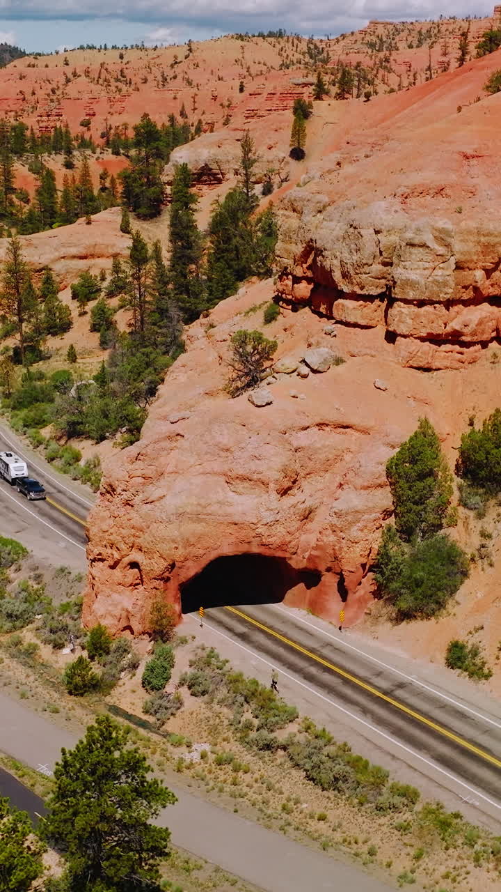 Stunning scenery of bright canyons on sunny day. Amazing rocks of Arches Canyons with green pine trees and roads going through the park. Vertical video