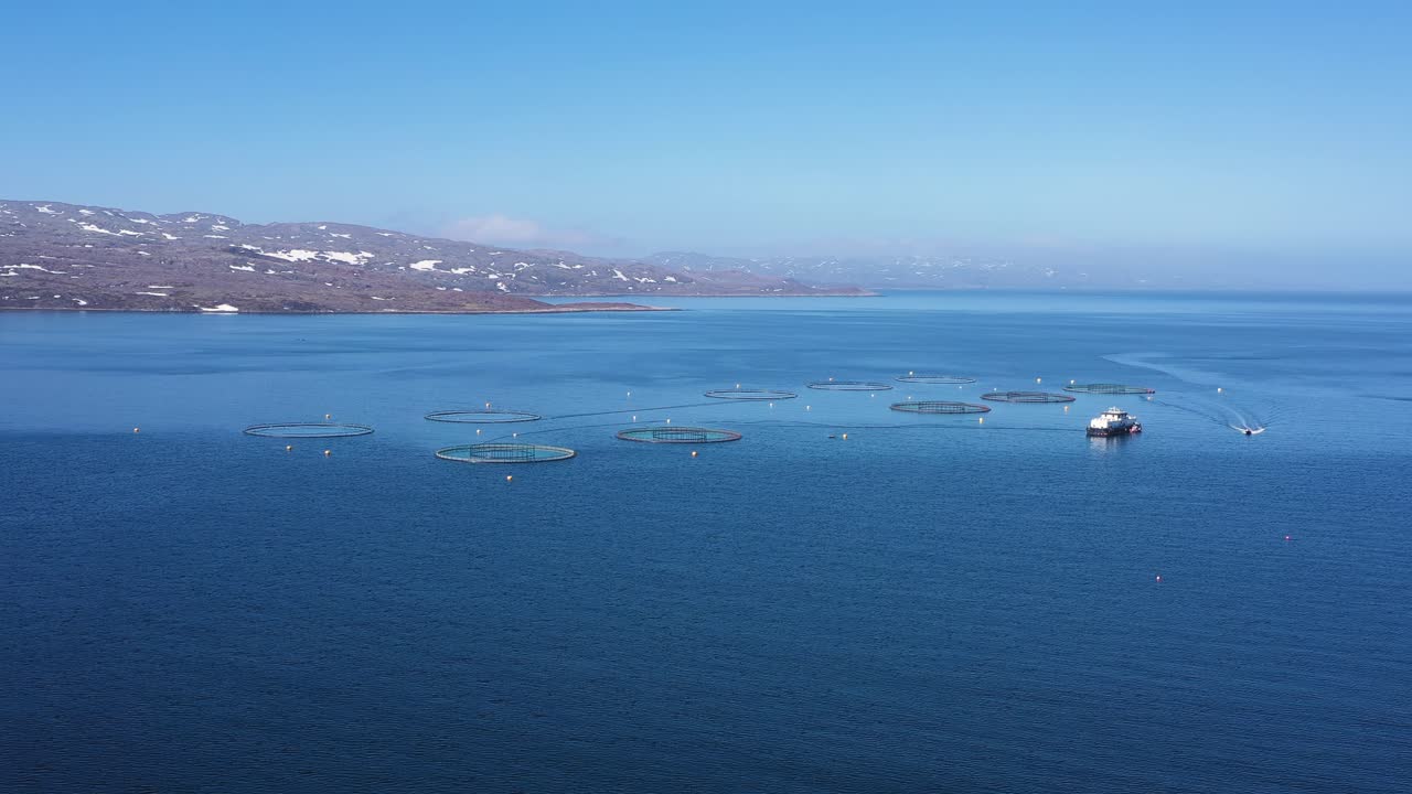 노르웨이에서 연어  ⁇ 시를 하는 공중 촬영