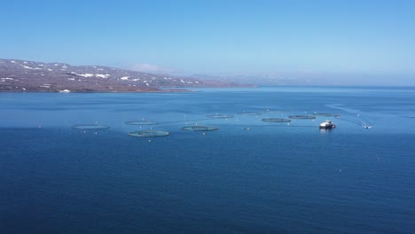 aerial footage farm salmon fishing in norway