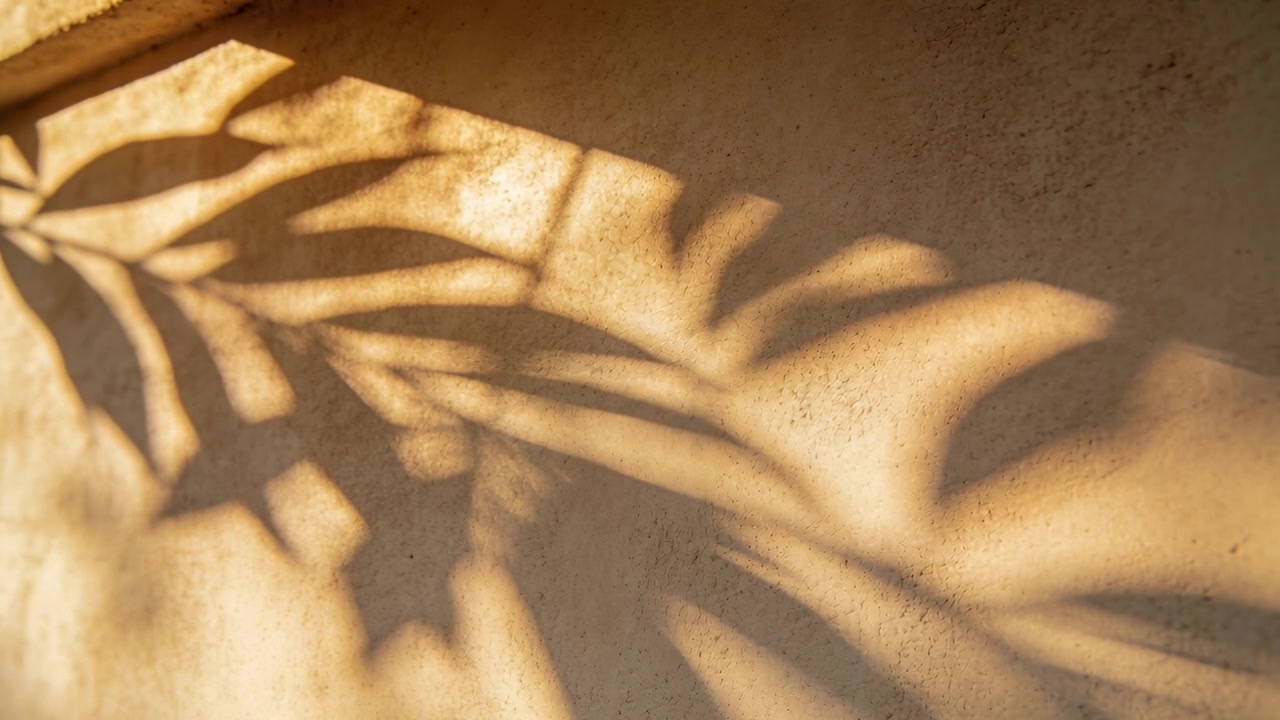 Shifting leaf shadows sliding across textured wall while sunlight entering window moving blades