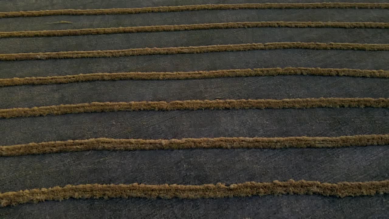 캐나다 대초원 위에서 수확된 밀밭의 공중 드론 전망