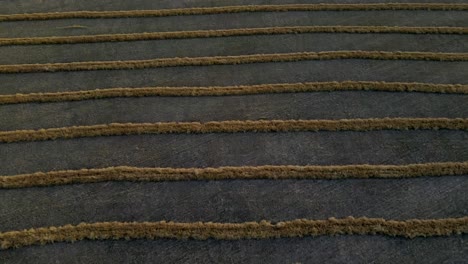 aerial drone view of harvested wheat field from above in canadian prairie