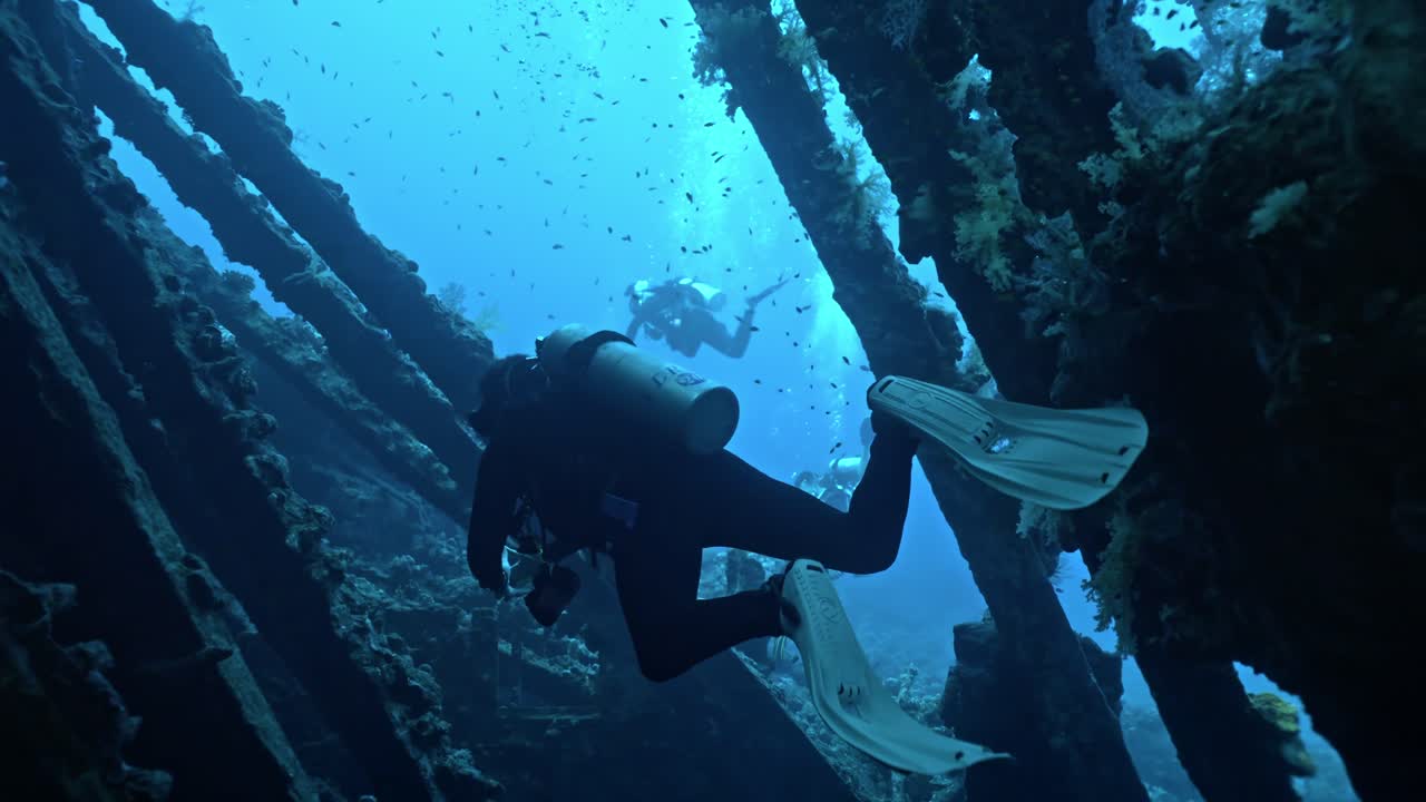 In this underwater scene, a group of scuba divers penetrates the interior of the SS Carnatic, the elegant 1869 British steamship wreck lying on her port side at 22–27 meters
