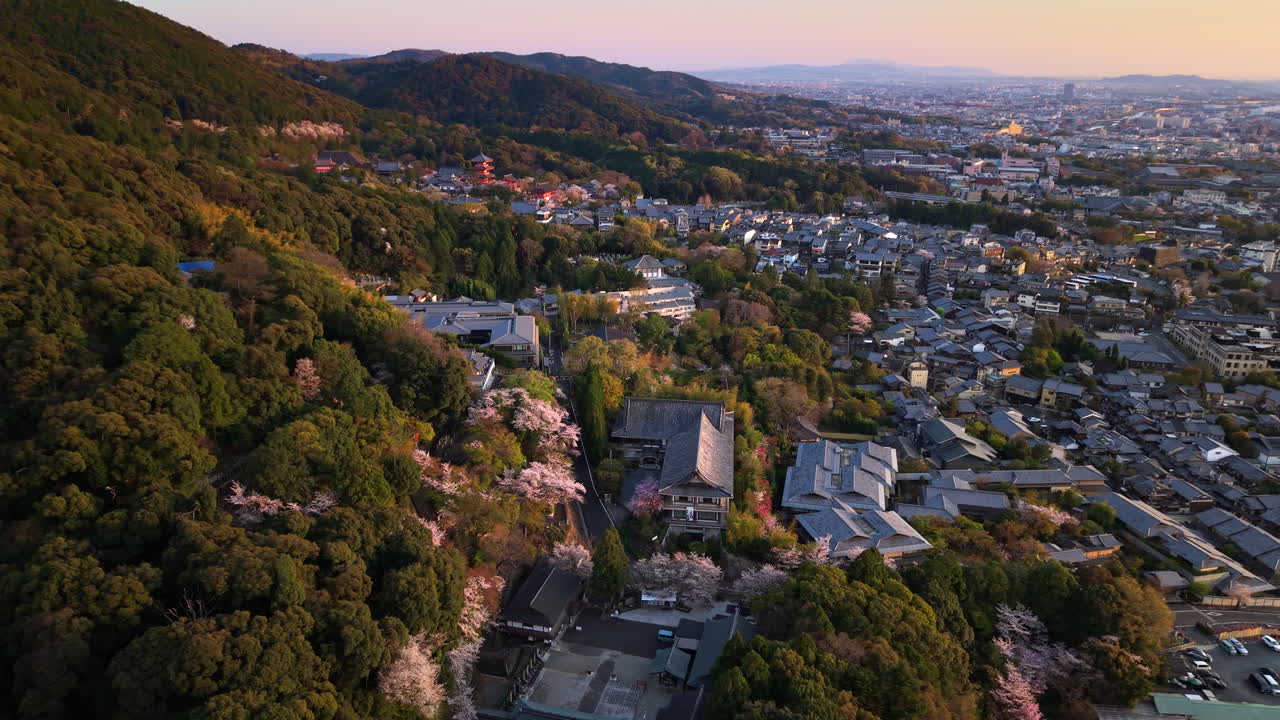 Aerial drone view of a temple surrounded by cherry blossom at sunset
