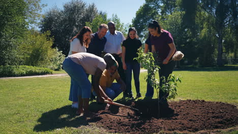 group of diverse people planting a tree in a park