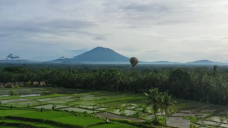 hot-air-balloon-flying-over-rice-field-of-Ubud-Bali-with-Volcano-on-horizon,-aerial