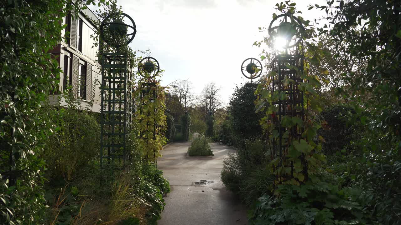 флора парка кули-верте рене-дюмон в начале осени