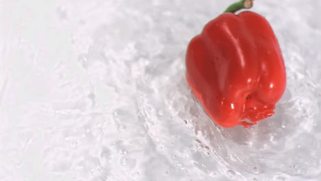 Pepper-turning-in-water-in-super-slow-motion