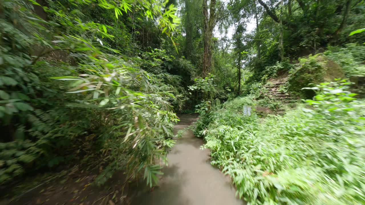 съемка с дрона fpv в джунглях острова бали, где женщина отдыхает на природе