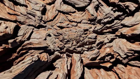 abstract radial wood texture