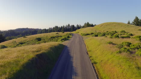 An-empty-mountain-road-through-green-grassy-hills-at-Mt-Tamalpais-wildlife-area---aerial-flyover