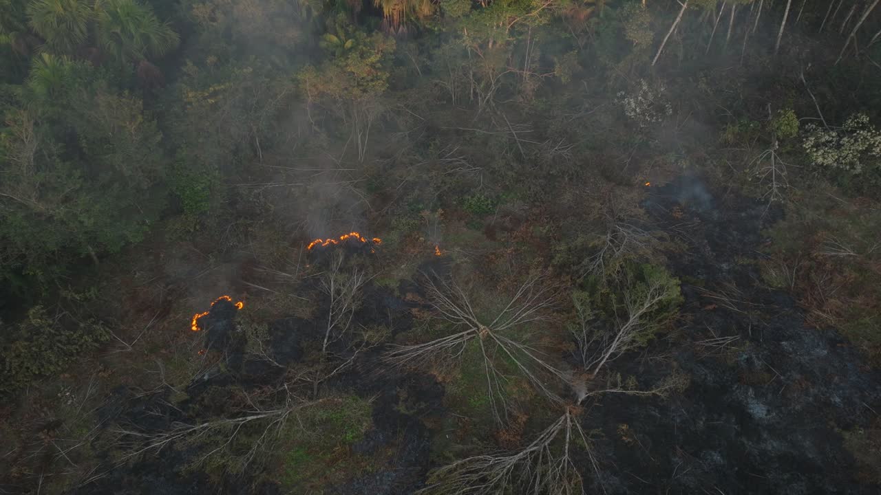 Ripresa aerea dall'alto verso il basso di un incendio in una foresta pluviale amazzonica colombiana
