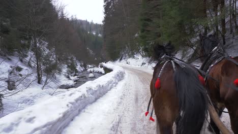 two horses pull a sleigh in a snowy vallley next to a river