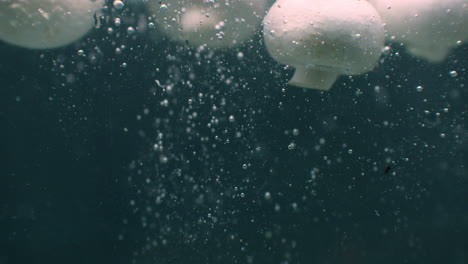 mushrooms falling into water and floating in slow motion