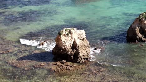 Seevogel-Sitzt-Auf-Einem-Kalksteinfelsen-Vor-Der-Küste-Von-Portimao,-Faro,-Algarve,-Portugal