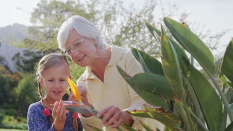 Little-girl-touching-flower-and-grandmother-showing-her-flowers-4K-4k