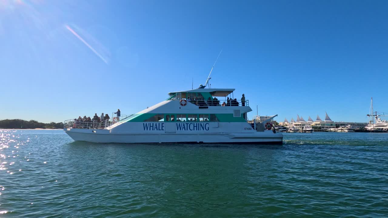 A whale watching tour boat with passengers cruises past the camera on calm water under clear blue skies, captured in smooth daylight drone footage
