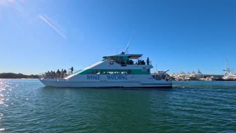 a whale watching tour boat with passengers cruises past the camera on calm water under clear blue skies, captured in smooth daylight drone footage