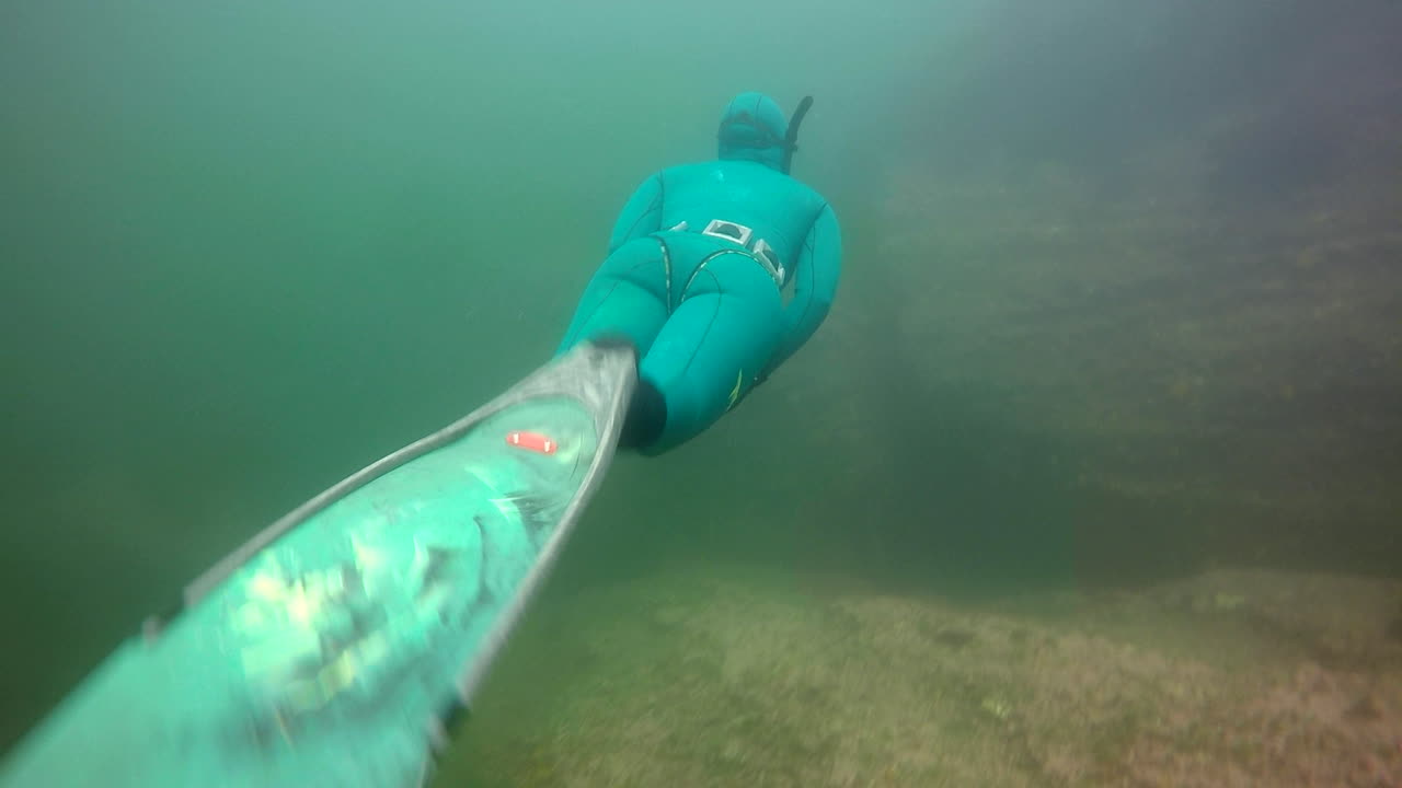 콜드 워터 퀘벡의 프리 다이버