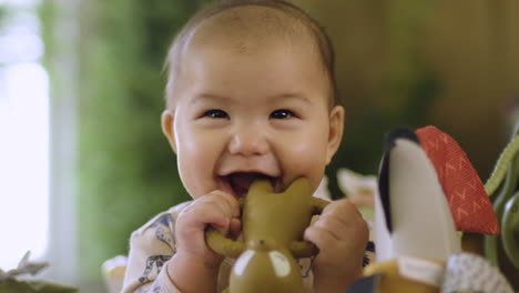Mixed-race-Asian-biracial-baby-smiling-and-holding-teething-toy-that-he-puts-in-his-mouth-and-sitting-in-his-baby-activity-center
