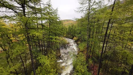 soar over the stunning expanse of yakutia where vibrant forests meet cascading rivers, showcasing nature's beauty in every direction