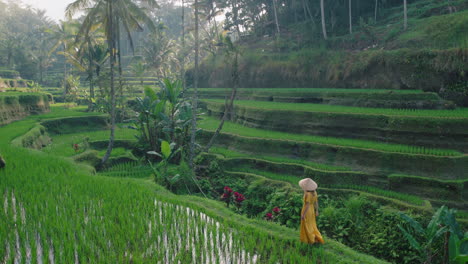 Mujer-Viajera-En-Un-Campo-De-Arroz-Vestida-De-Amarillo-Con-Sombrero-Explorando-Una-Exuberante-Terraza-De-Arroz-Verde-Caminando-En-Un-Paisaje-Cultural-Vacaciones-Exóticas-A-Través-De-Bali-Indonesia-Descubre-Asia