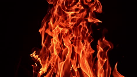 burning fire at night