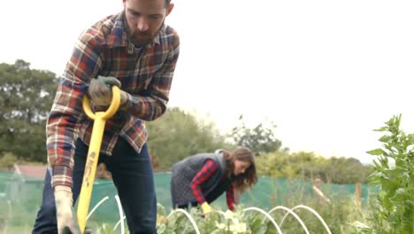 young couple gardening