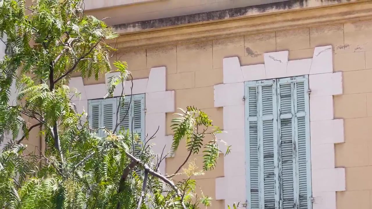Inquadratura fissa dell'esterno di un edificio in pietra con persiane di legno blu e rami d'albero ondeggianti