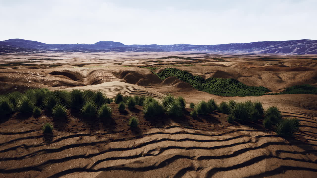 hermosa duna de arena naranja amarilla en el desierto de asia central