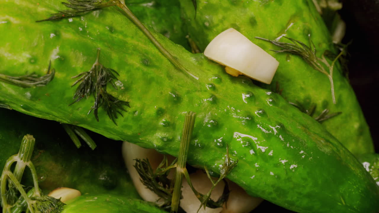 Close-up of fermented cucumbers with garlic and dill on plate. Preservation of vegetables in glass jars. Fermentation preserved cucumbers with spices. Russian cuisine.