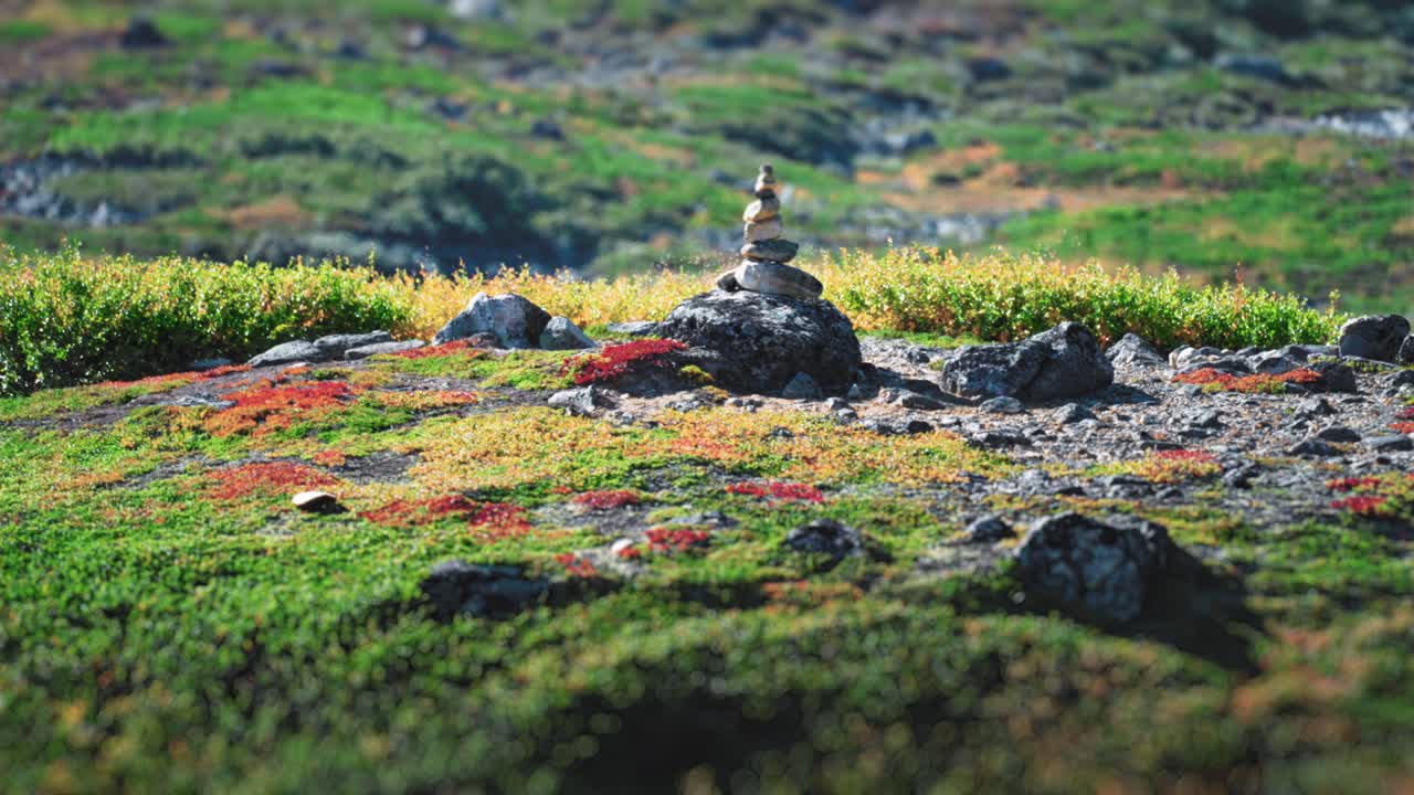 Naturskøn udsigt over en stenvarde på en frodig bjergeng med varieret planteliv og barskt terræn