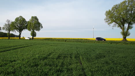 Low-drone-fly-over-a-green-field-of-cereals