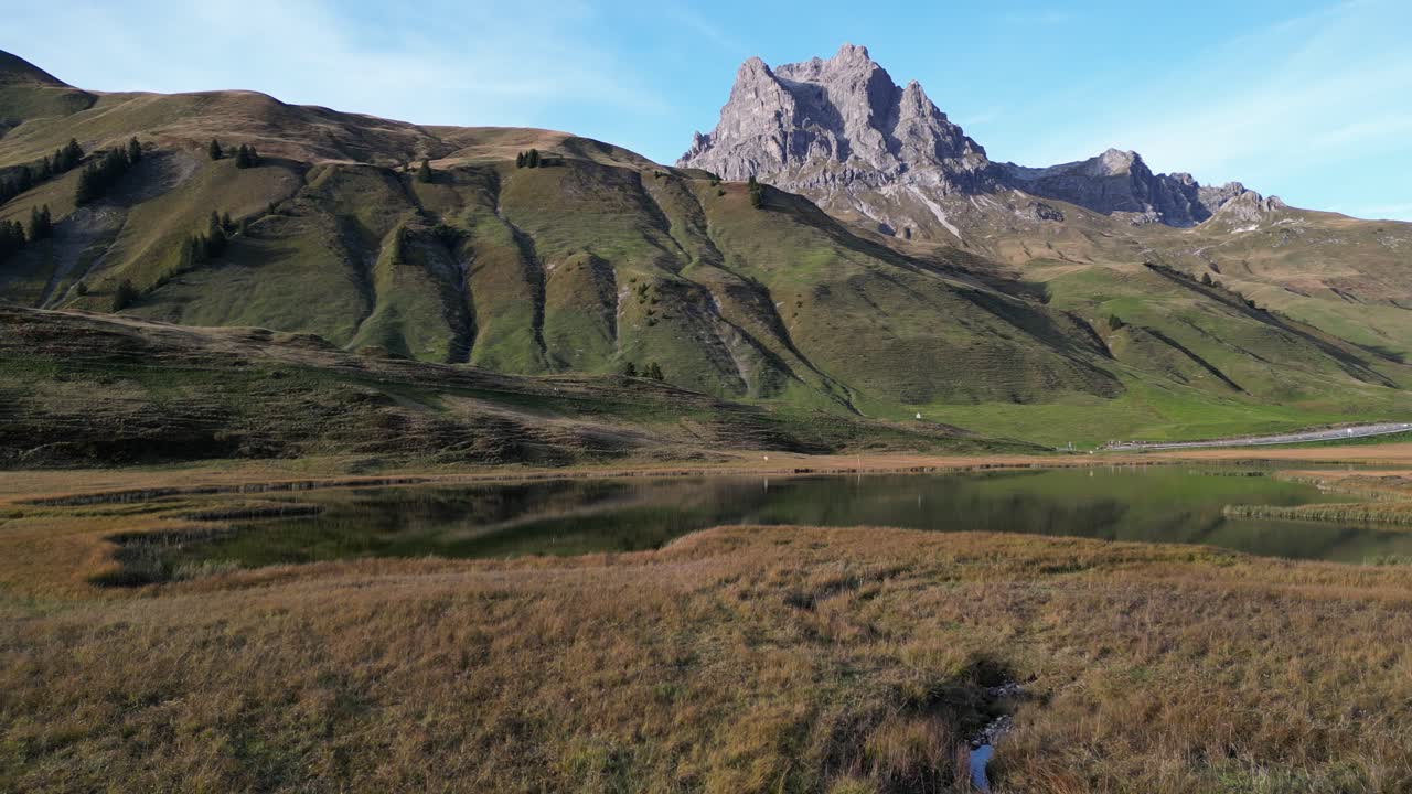 멀리 있는 초록색 언덕 잔디과 언덕 꼭대기의 파노라마