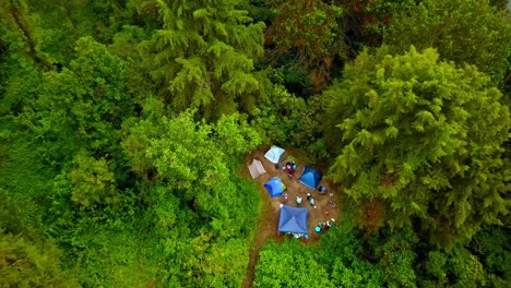 drone descends vertically over lake bunyonyi island in uganda, revealing tents and tourists camping among lush tropical vegetation and towering trees in complete seclusion